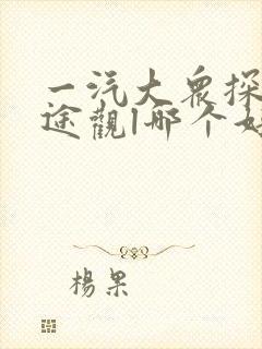 一汽大众探岳和途观l哪个好