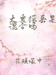 大众探岳是油电混合吗