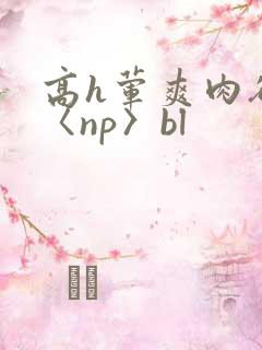 高h荤爽肉欲文〈np〉bl
