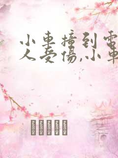 小车撞到电瓶车人受伤,小车全责赔付多少钱