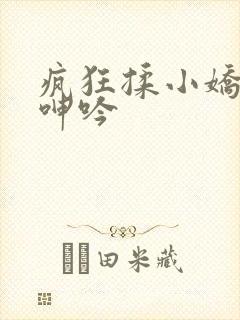 疯狂揉小娇喘声呻吟