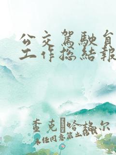 公交驾驶员个人工作总结报告