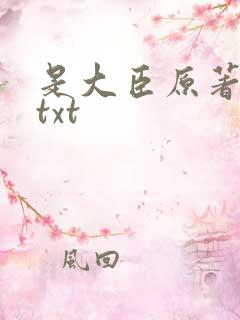 是大臣原著小说txt 是大臣原著小说txt
