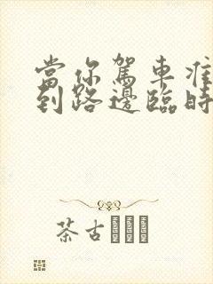 当你驾车准备再到路边临时停车应注意什么