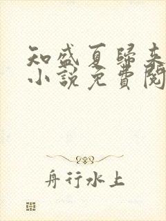 知盛夏归来原著小说免费阅读