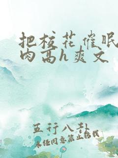 把校花催眠了纯肉高h爽文
