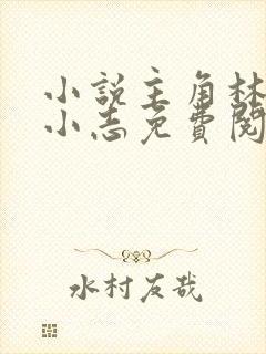 小说主角林姨,小志免费阅读