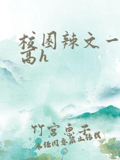校园辣文一对一高h 校园辣文一对一高h