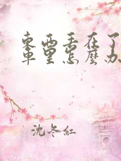 东西丢在了公交车里怎么办