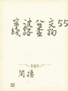 宁波公交55路线路查询