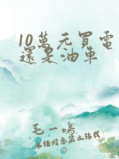 10万元买电车还是油车