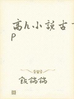 高h小说古言np