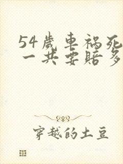 54岁车祸死亡一共要赔多少钱