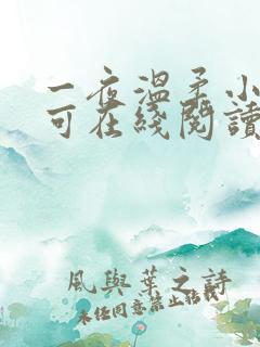 一夜温柔小说小可在线阅读