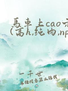 马车上cao穴(高h,纯肉,np)