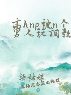 高hnp被n个男人玩调教
