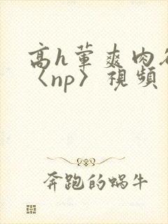 高h荤爽肉欲文〈np〉视频