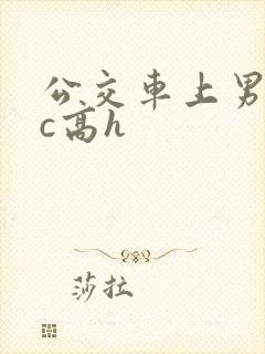 公交车上男男被c高h