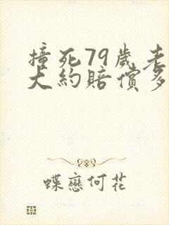 撞死79岁老人大约赔偿多少万 撞死79岁老人大约赔偿多少万