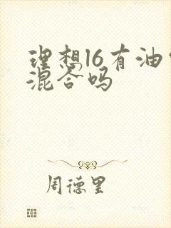 理想l6有油电混合吗