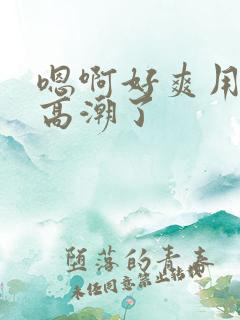嗯啊好爽用力啊高潮了