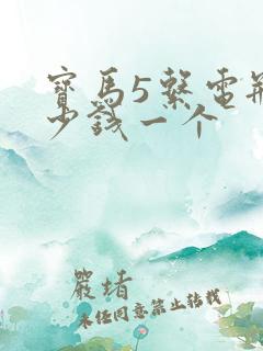 宝马5系电瓶多少钱一个
