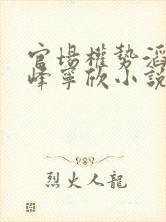 官场权势滔天林峰宁欣小说在线阅读