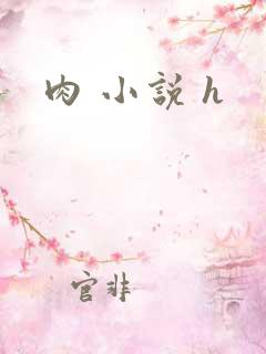肉 小说 h