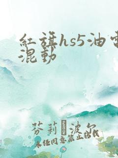 红旗hs5油电混动