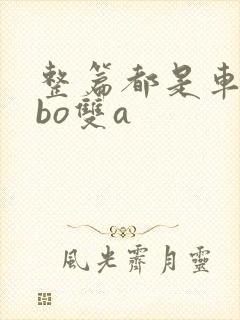 整篇都是车的abo双a