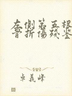 左侧第五根肋骨骨折伤残鉴定标准 左侧第五根肋骨骨折伤残鉴定标准