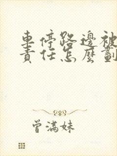 车停路边被撞了责任怎么划分