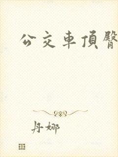 公交车顶臀