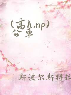 (高h,np)公车