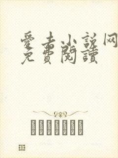 爱去小说网在线免费阅读