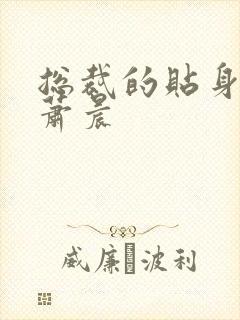 总裁的贴身兵王萧晨