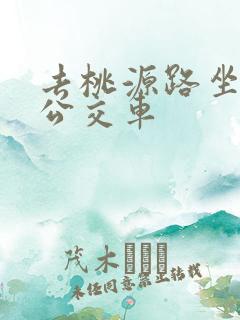 去桃源路坐几路公交车