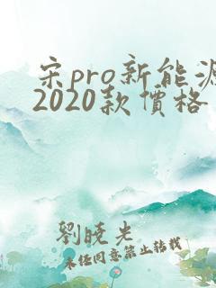 宋pro新能源2020款价格
