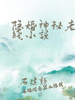 隐婚神秘老公在线小说
