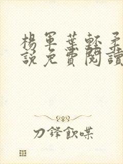 杨军叶轻柔的小说免费阅读无弹窗