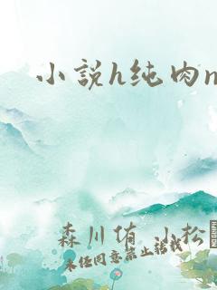 小说h纯肉np
