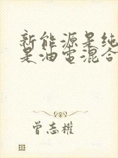 新能源是纯电还是油电混合