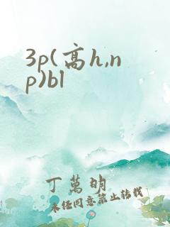 3p(高h,np)bl