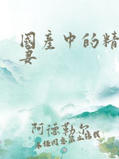 国产中的精品人妻