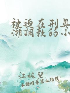 被迫在刑具上高潮调教的小说