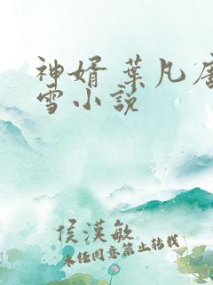 神婿 叶凡唐若雪小说