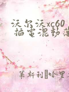 沃尔沃xc60 插电混动落地