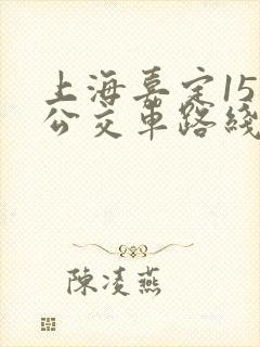 上海嘉定15路公交车路线图