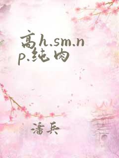高h.sm.np.纯肉