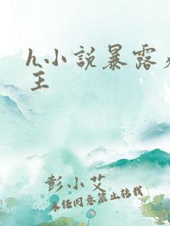 h小说暴露癖女主